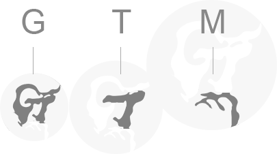 “GTM”三個(gè)英文字母組成，代表黃金時(shí)代管理：